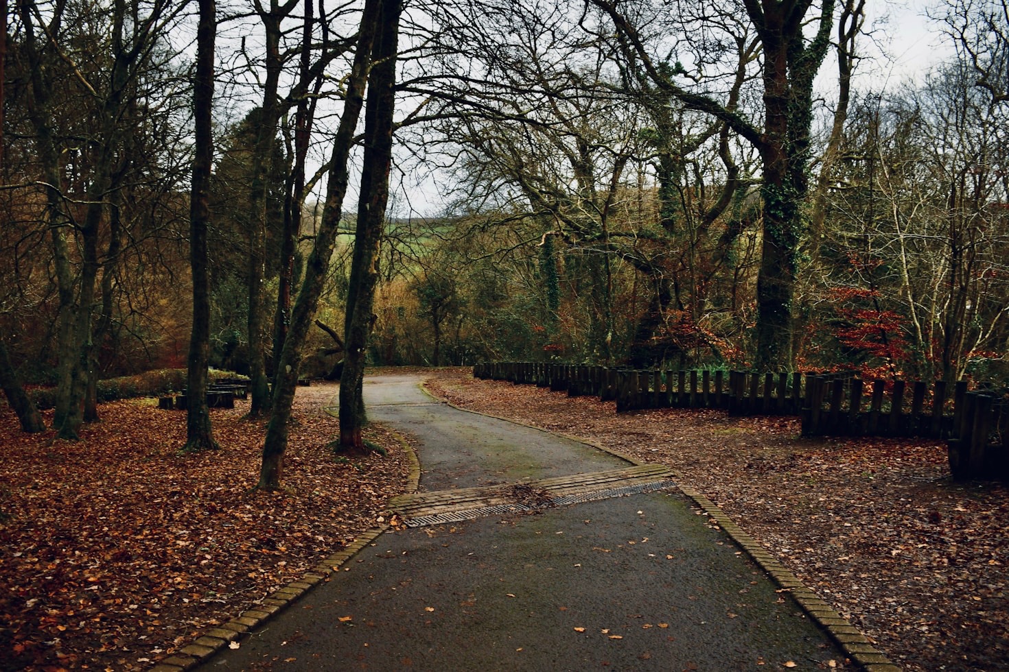 Why Short Walks Are the Perfect Break