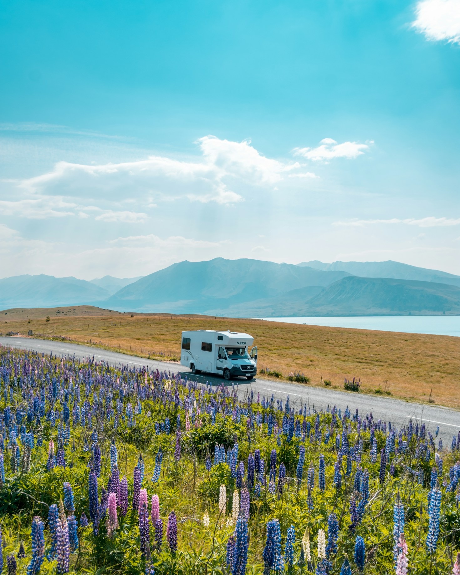 Exploring Nature: A Guide to Short Walks