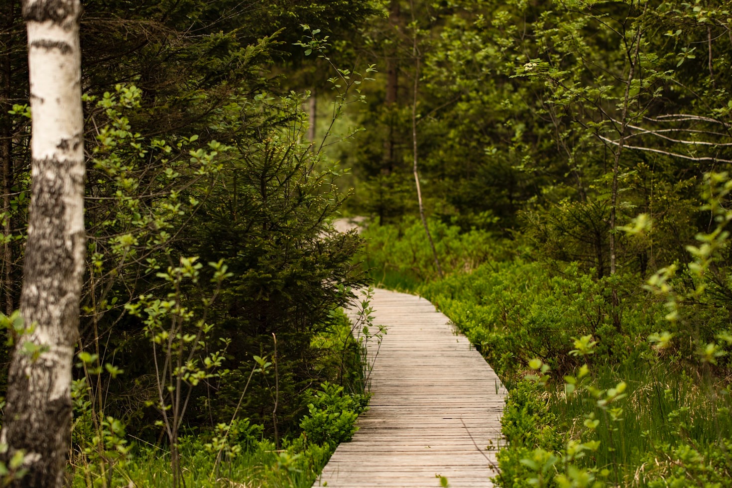 The Joy of Combining Walks with Camping
